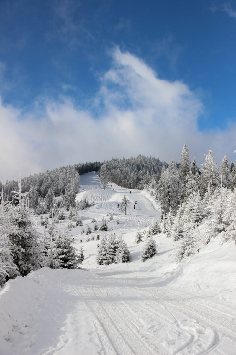 Kék ég, fehér föld