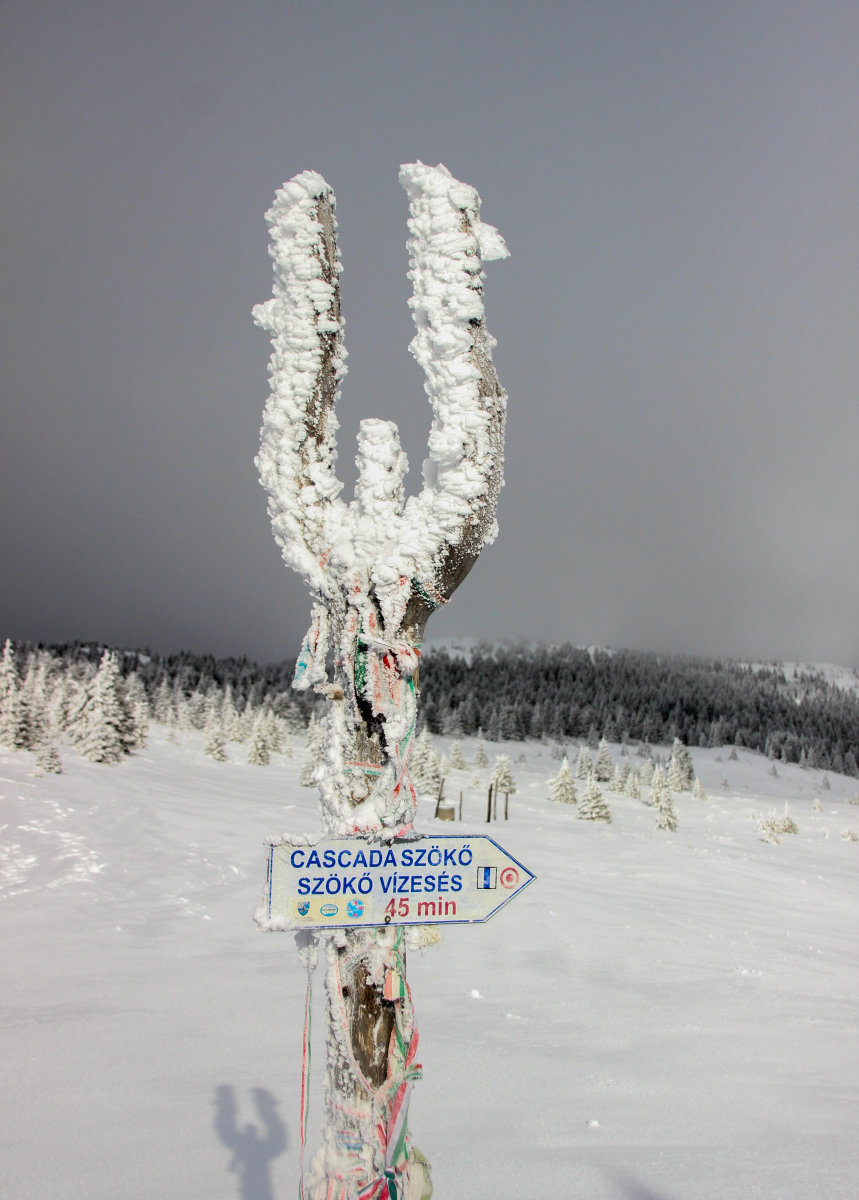 Székelyföldi iránymutató tábla