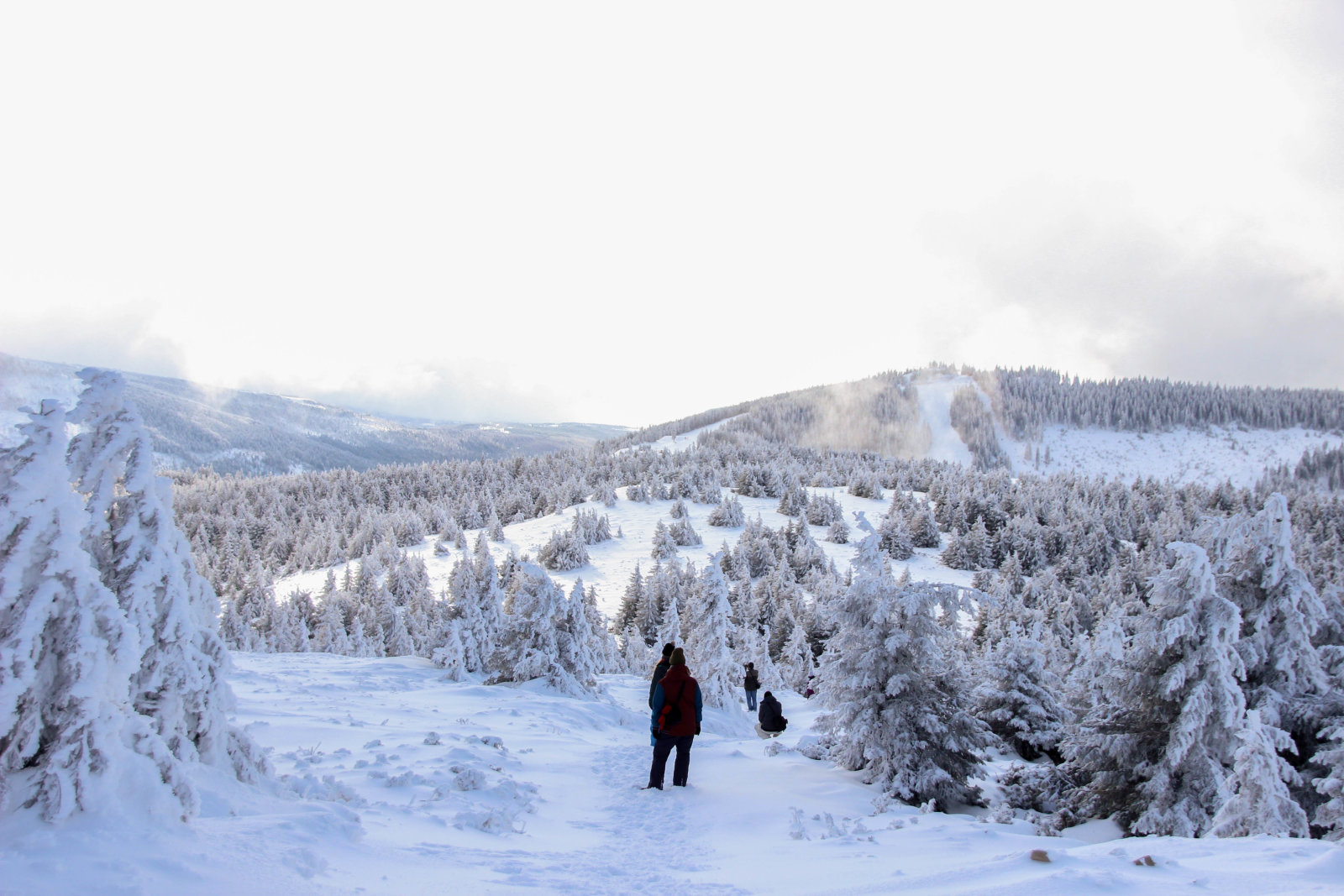 Állj meg és csodáld!