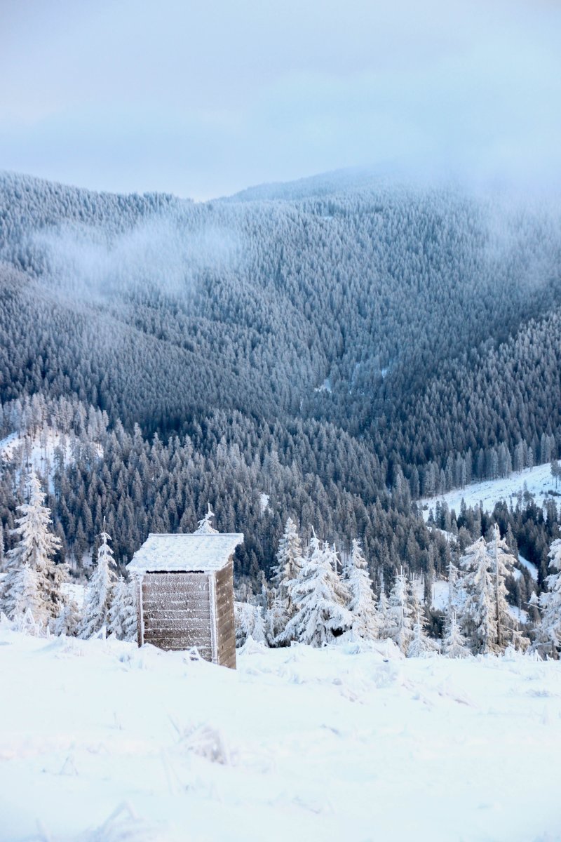 Toalett kiváló kilátással