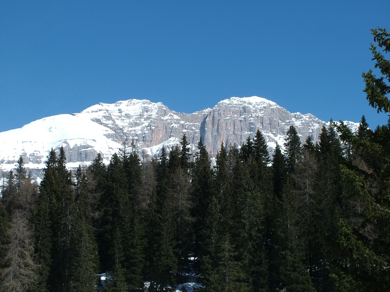 madonna-di-campiglio-01.jpg