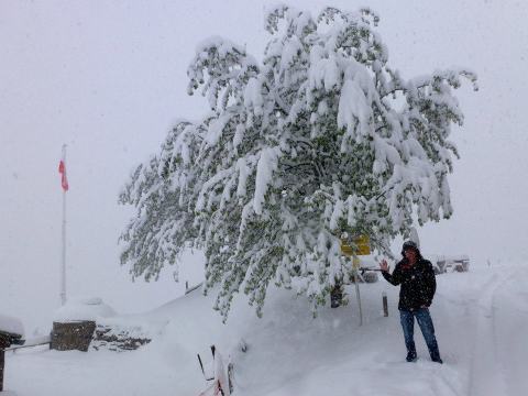 26 cm hó a Höttingeralmon - Fotó: Höttingeralm