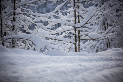 Télies hangulat - Fotó: skywarn