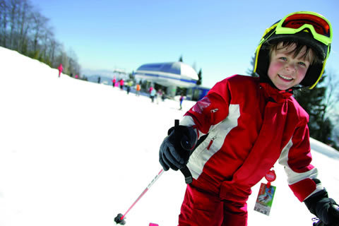 Gemeindealpe - Copyright: Wein Franz