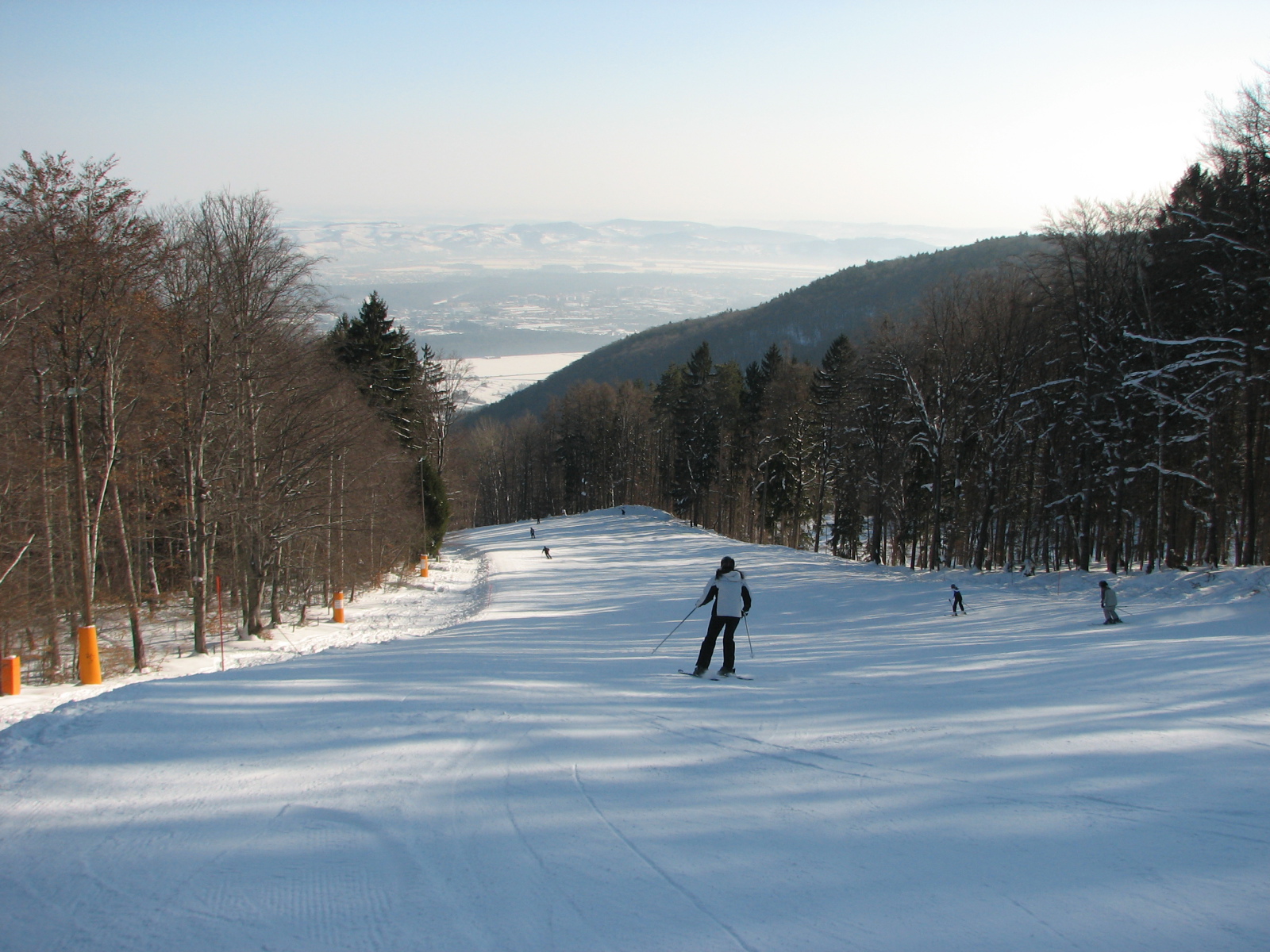 Bolfenk - középső erdei piros szakasz