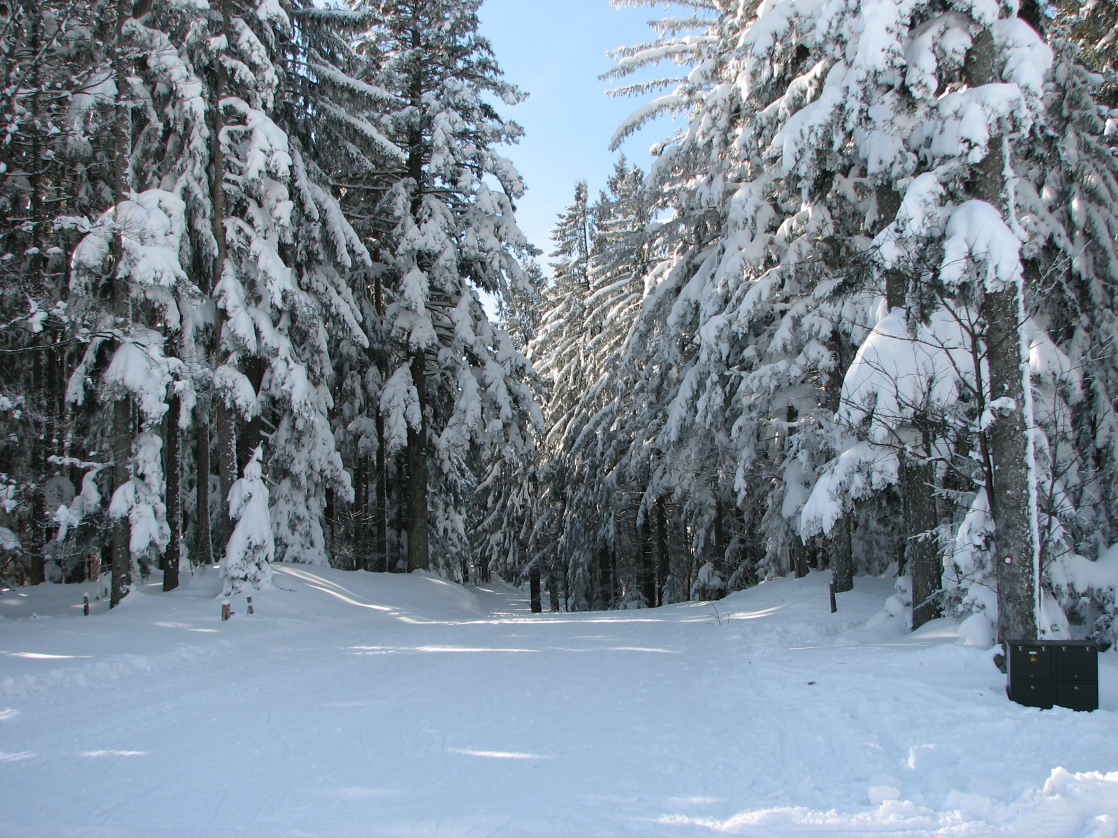 Areh - erdei átcsúszó