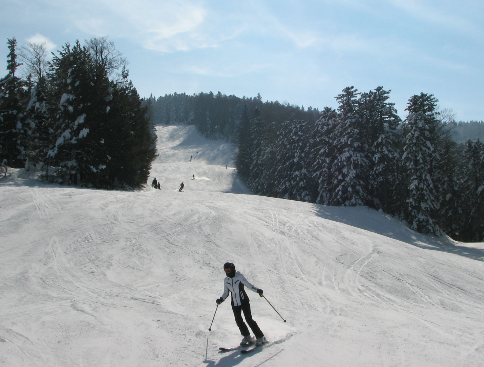 Areh - Videc húzólift hullámos erdei pályája