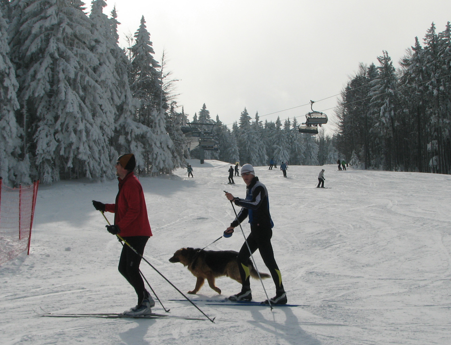 Sífutók kutyával,  a Pisker mellett