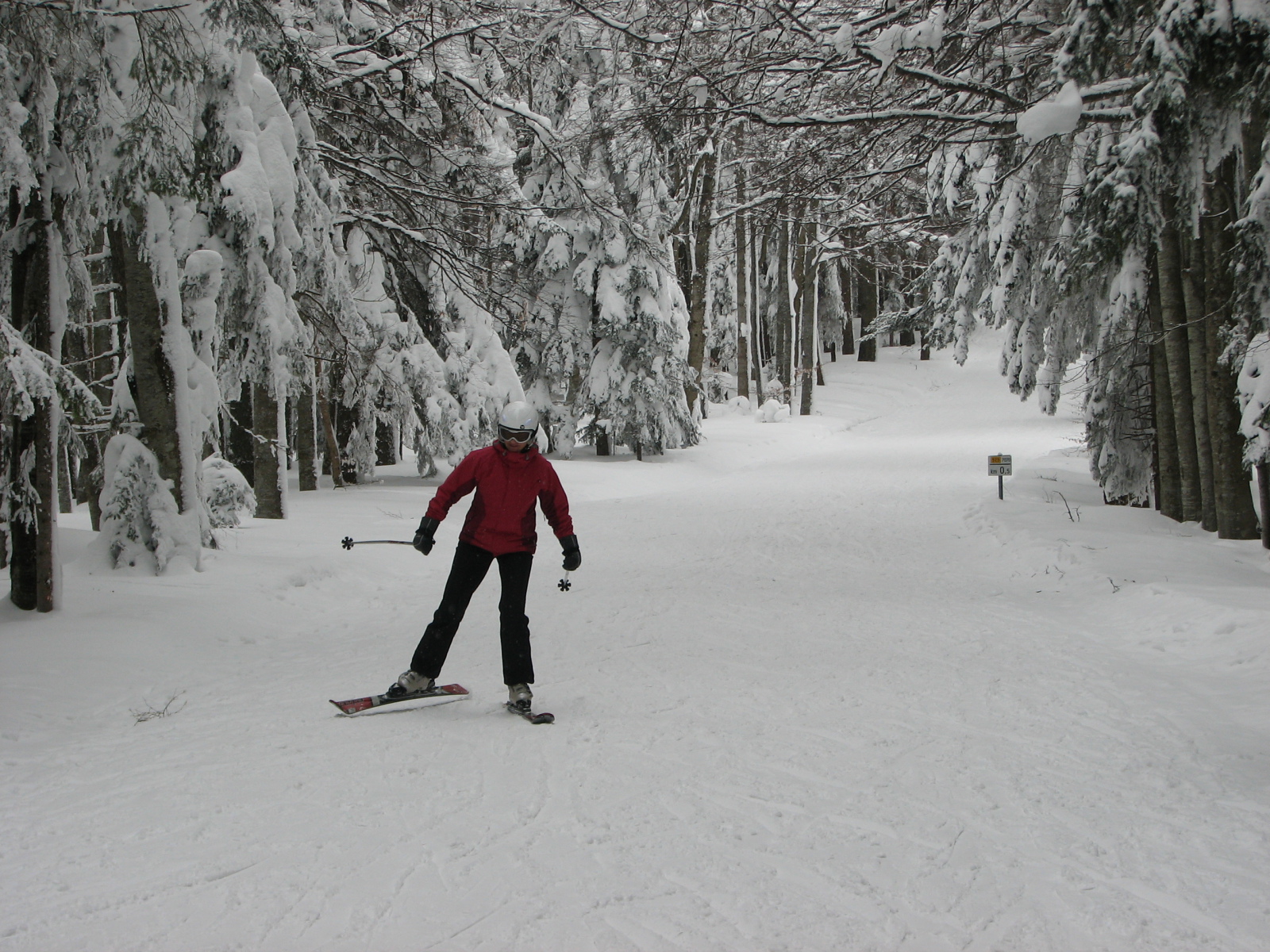 Egy "munkás" erdei átcsúszó