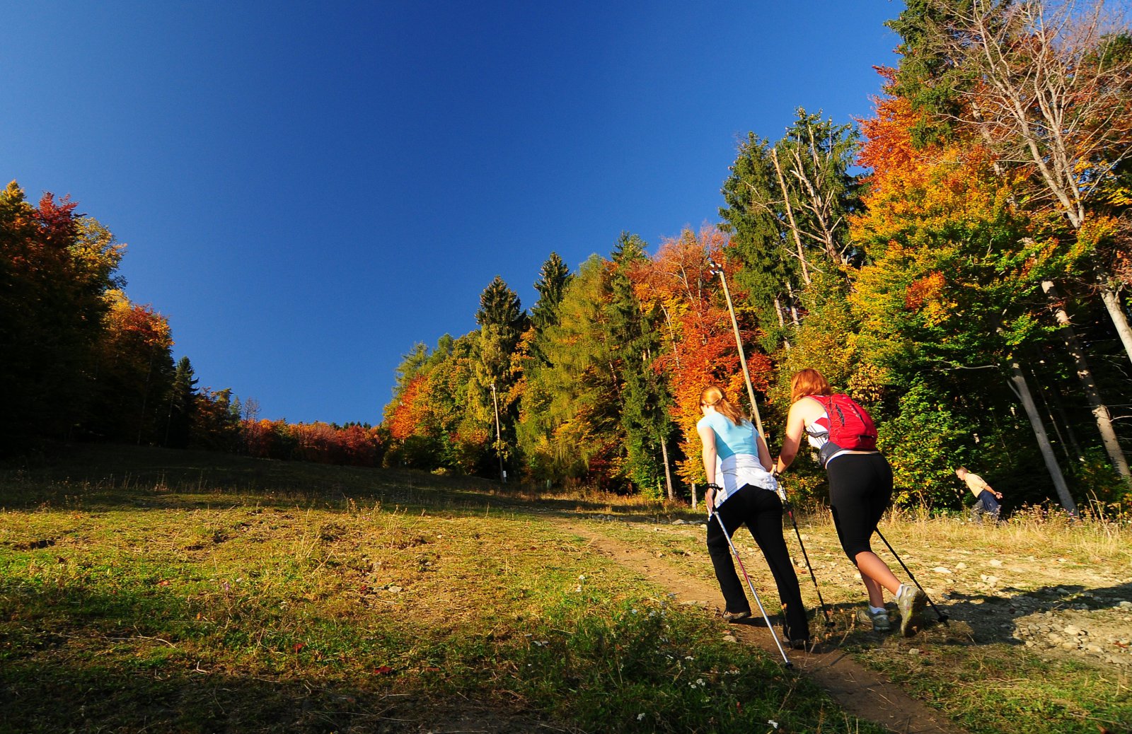 Pohodnistvo-na-Pohorju2-Hiking-on-Pohorje-Jurij-Pivka.jpg