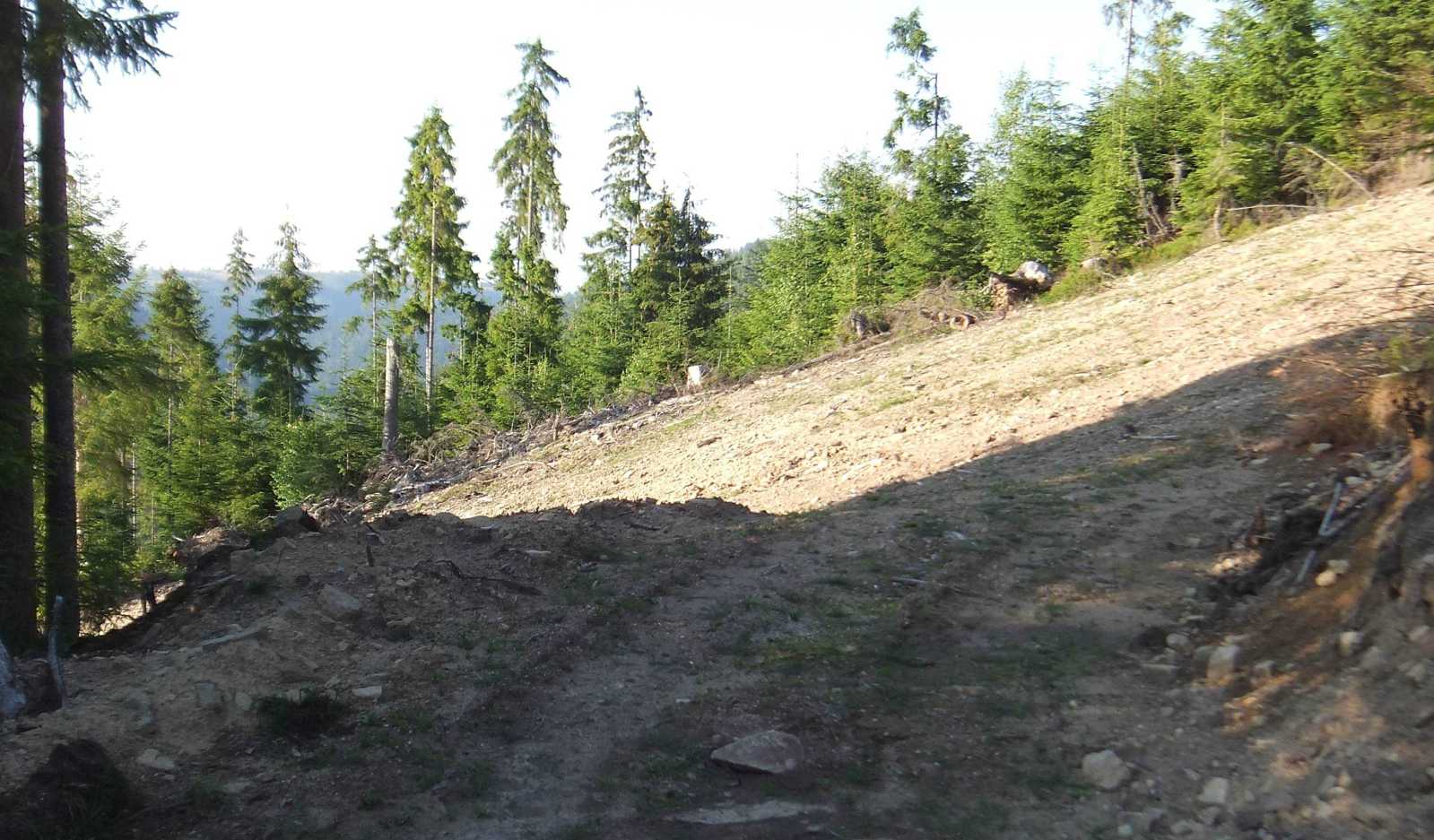 A középső piros pálya felső harmada