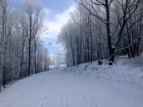 sipark-2013jan9-26.jpg
