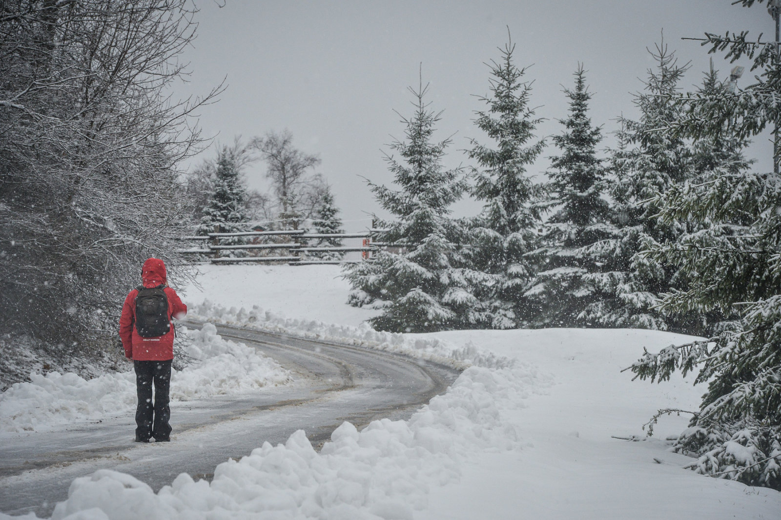 Képek: Czímer Tamás fotóriporter