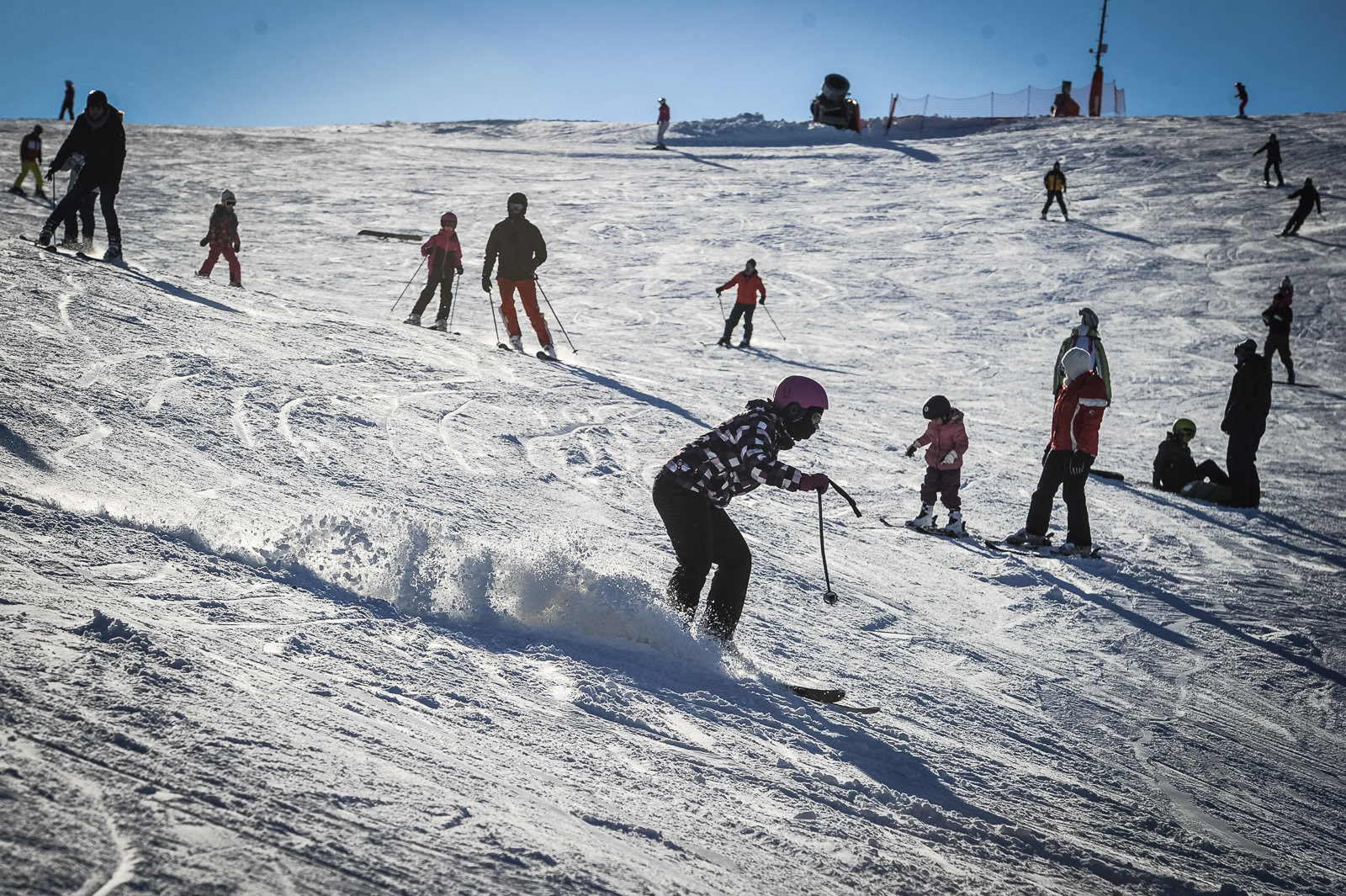 Forrás: Czímer Tamás fotóriporter / Heves Megyei Hírlap