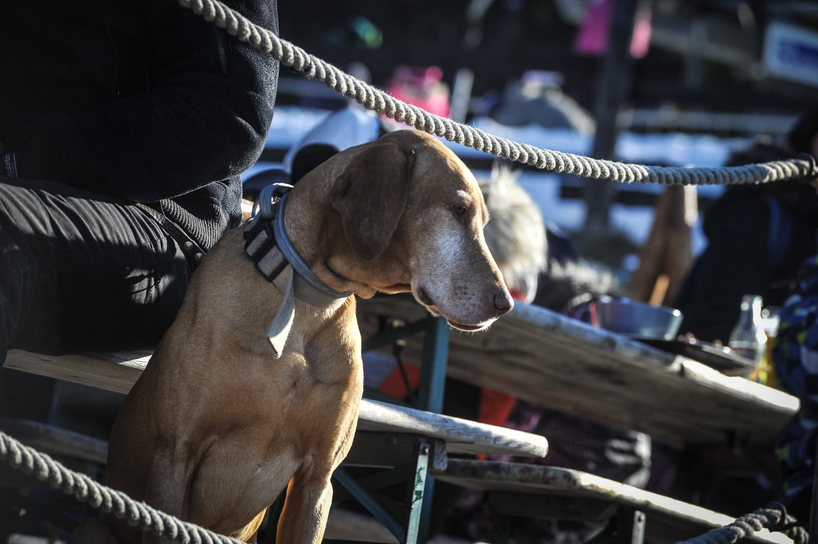 Forrás: Czímer Tamás fotóriporter / Heves Megyei Hírlap