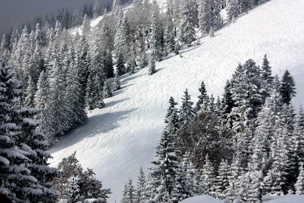 szabad sízés a pálya mellett