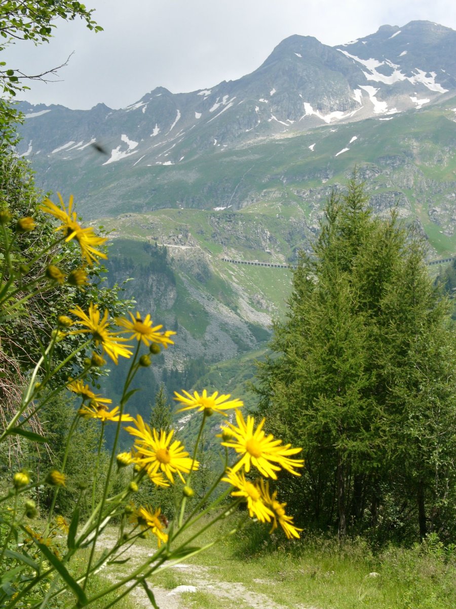 Fotó: TG Mölltaler Gletscher