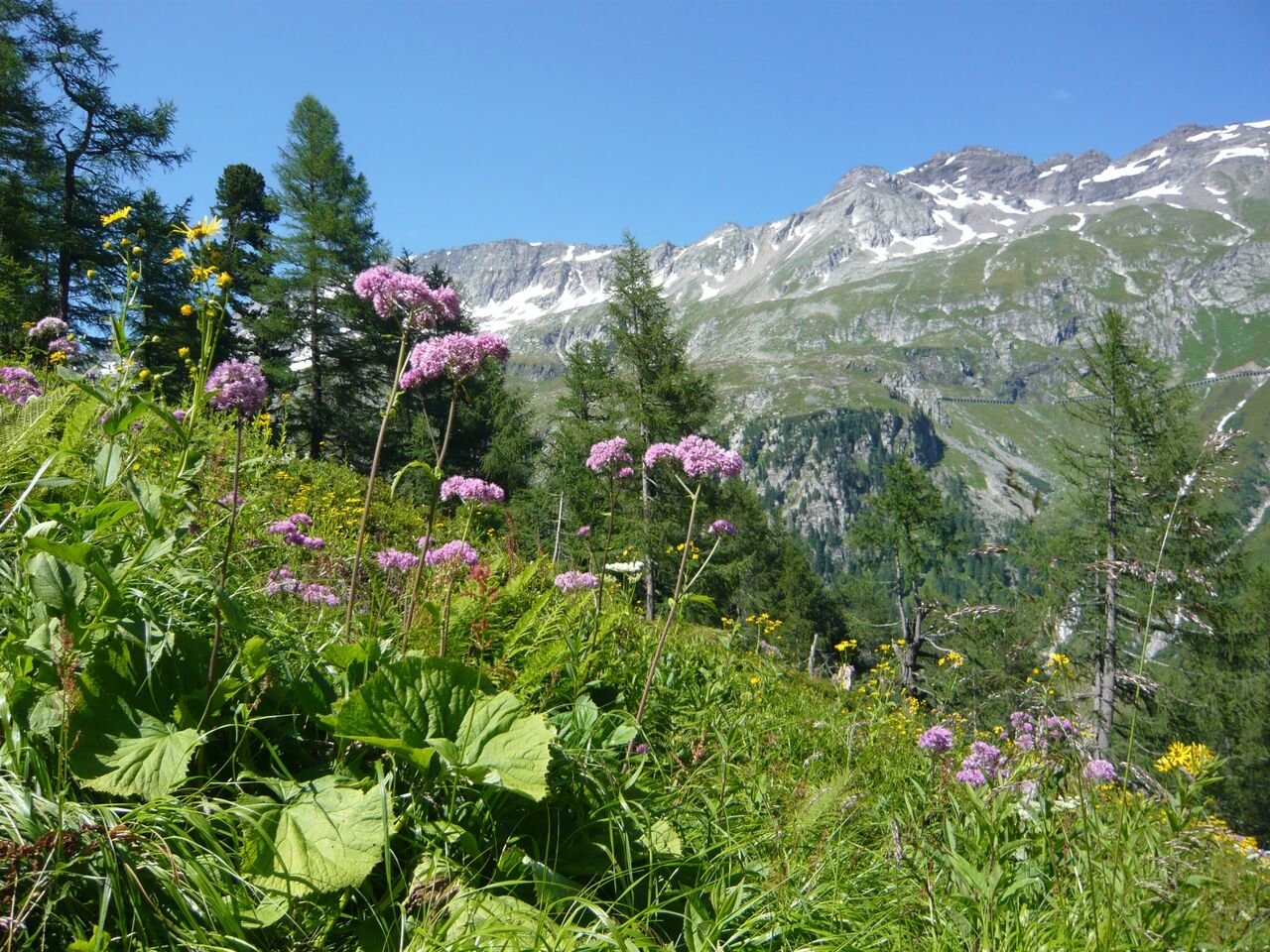 Gyalogtúra nyáron Flattach környékén |  Fotó: TG Mölltaler Gletscher