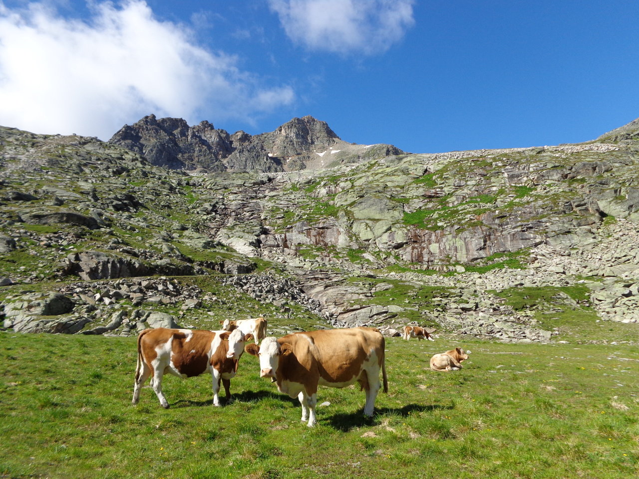 Gyalogtúra nyáron Flattach környékén |  Fotó: TG Mölltaler Gletscher