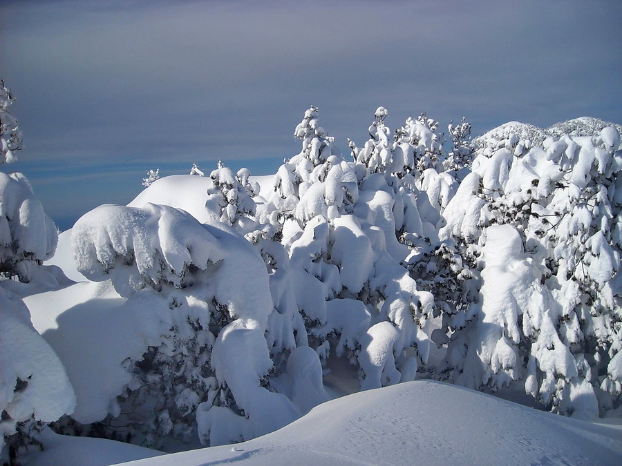 Kép: Peruško Marinko / Facebook