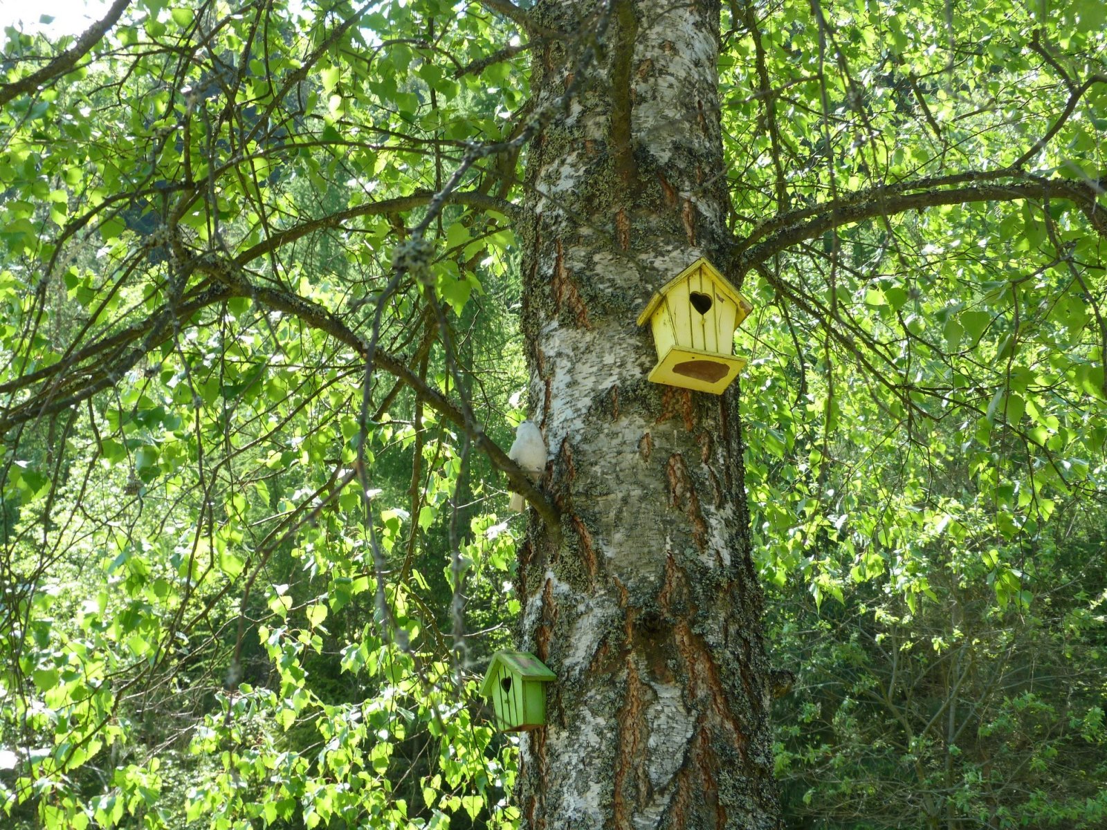 Ráztoky bánya skanzen