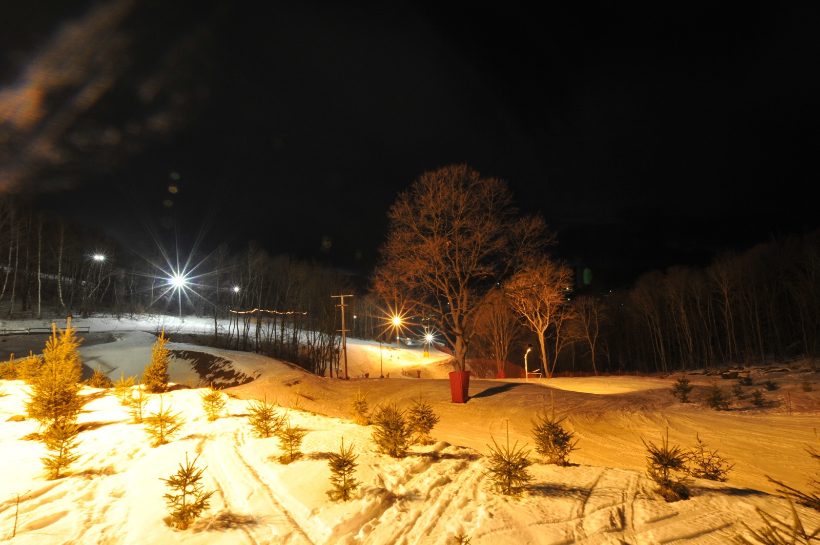 sipark-feb24-10.jpg