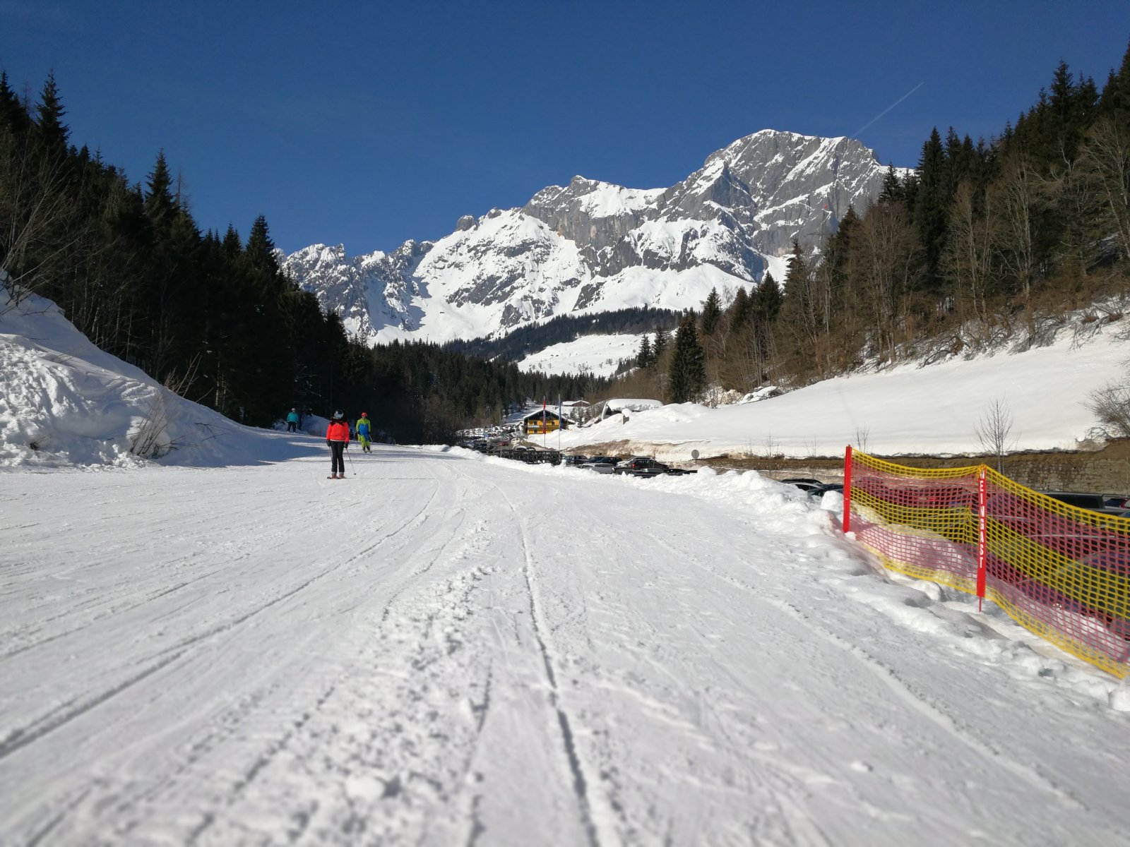 IMG-20190219-131136.jpg