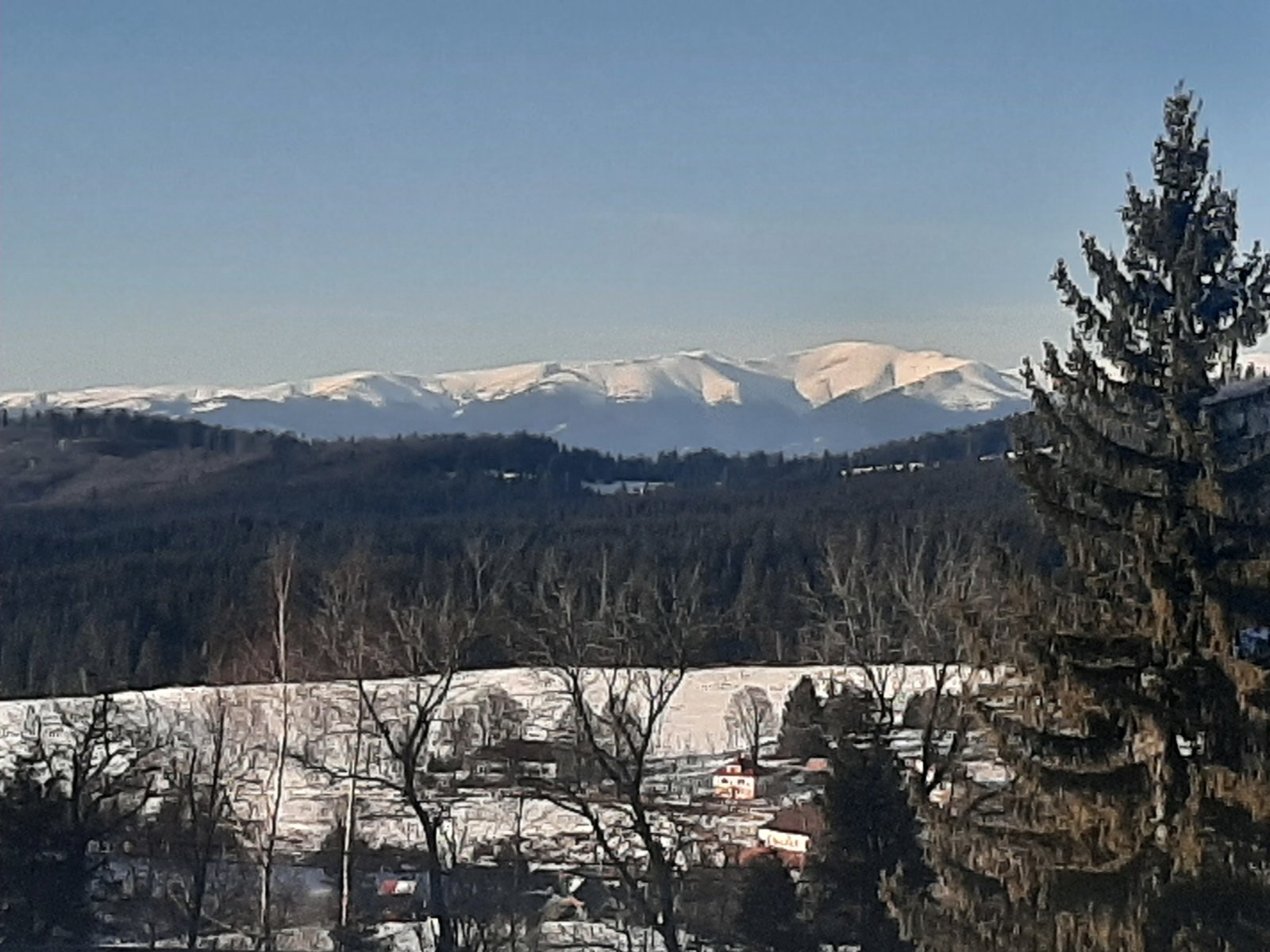 20220213-152850.jpg