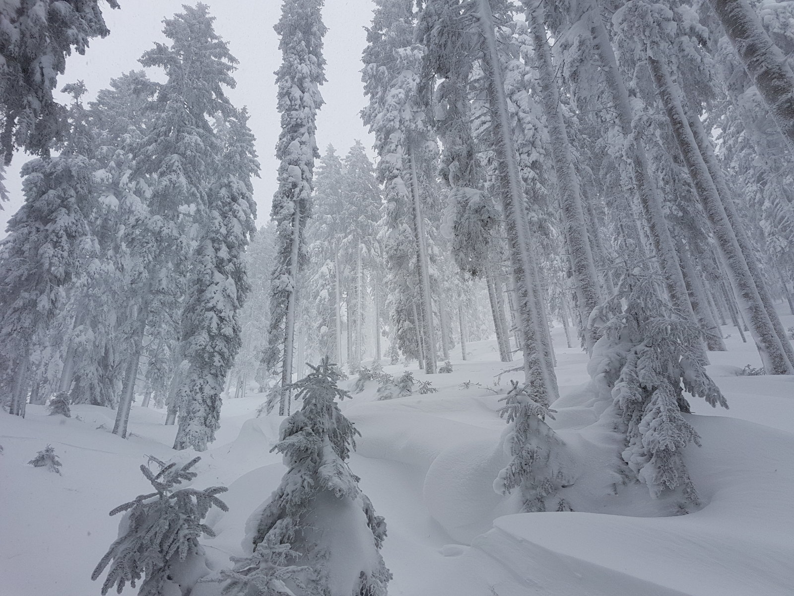 Filzmoos, szélnyomott porhó dűnékkel