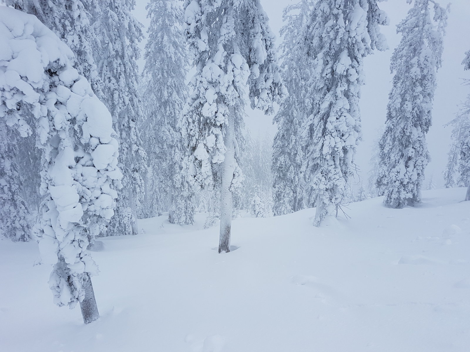 Filzmoos, a 2. pados kör indulási helye