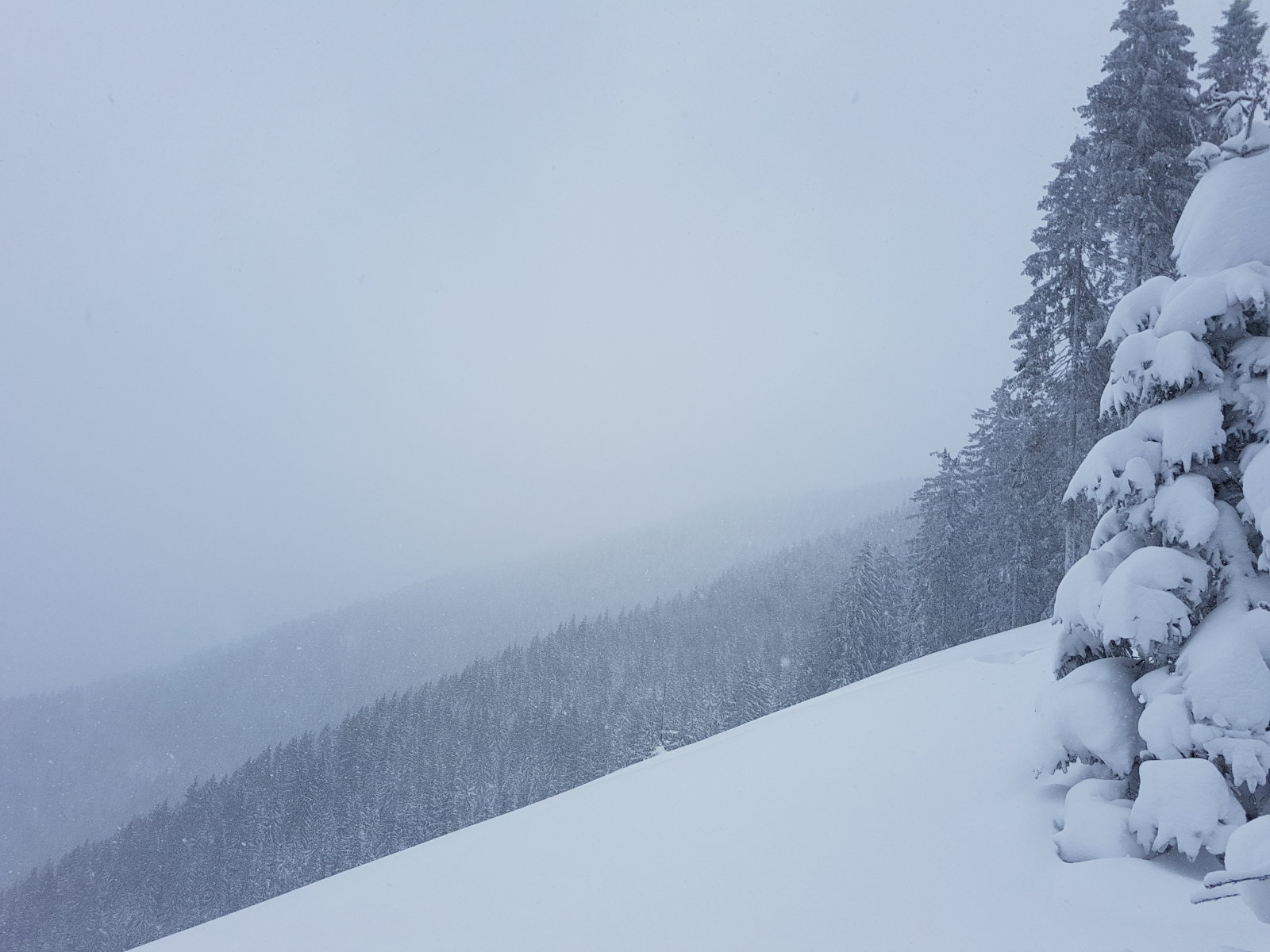 Filzmoos, a 2. pados nagy tisztás