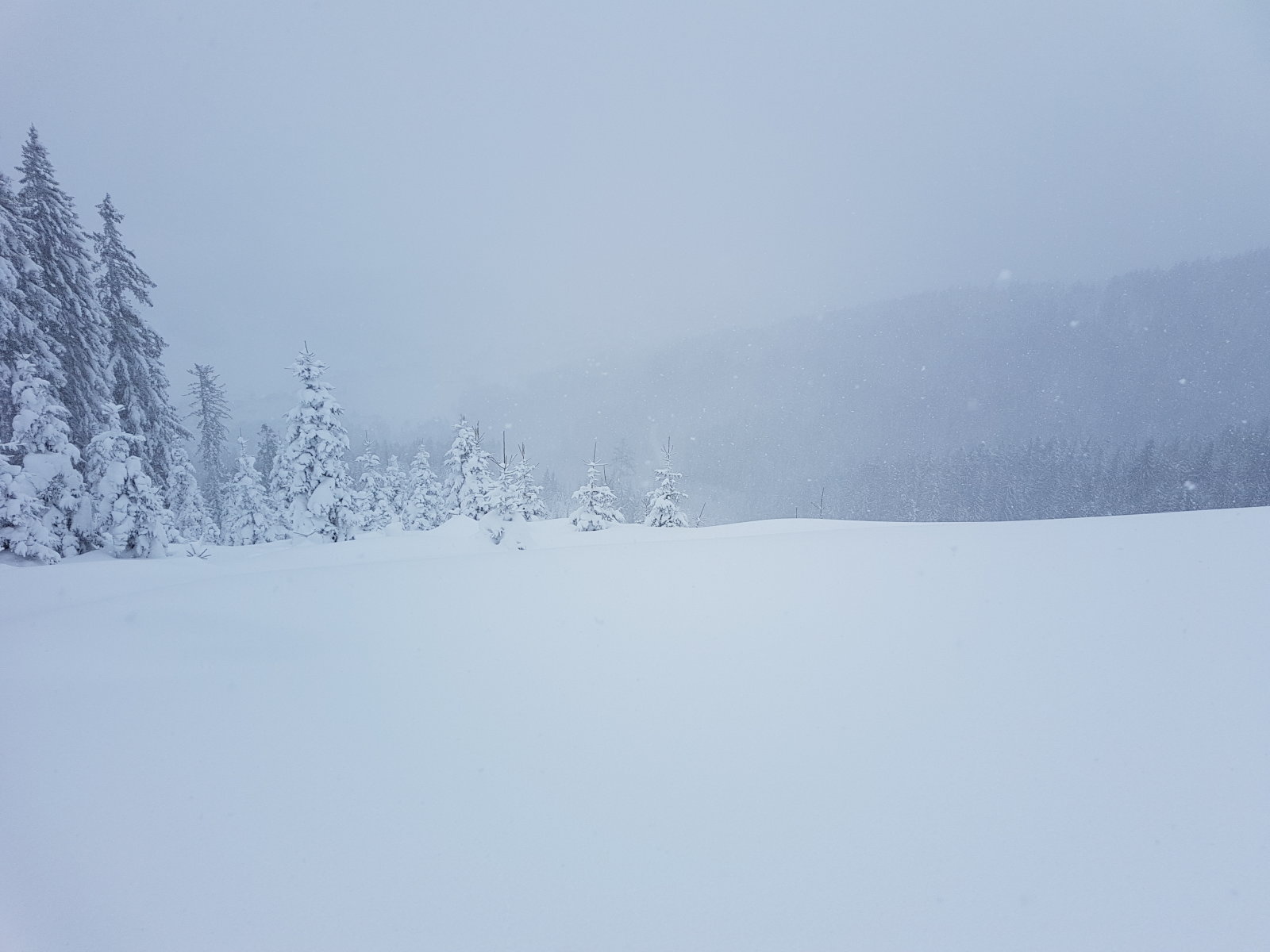 Filzmoos, a 2. pados nagy tisztás