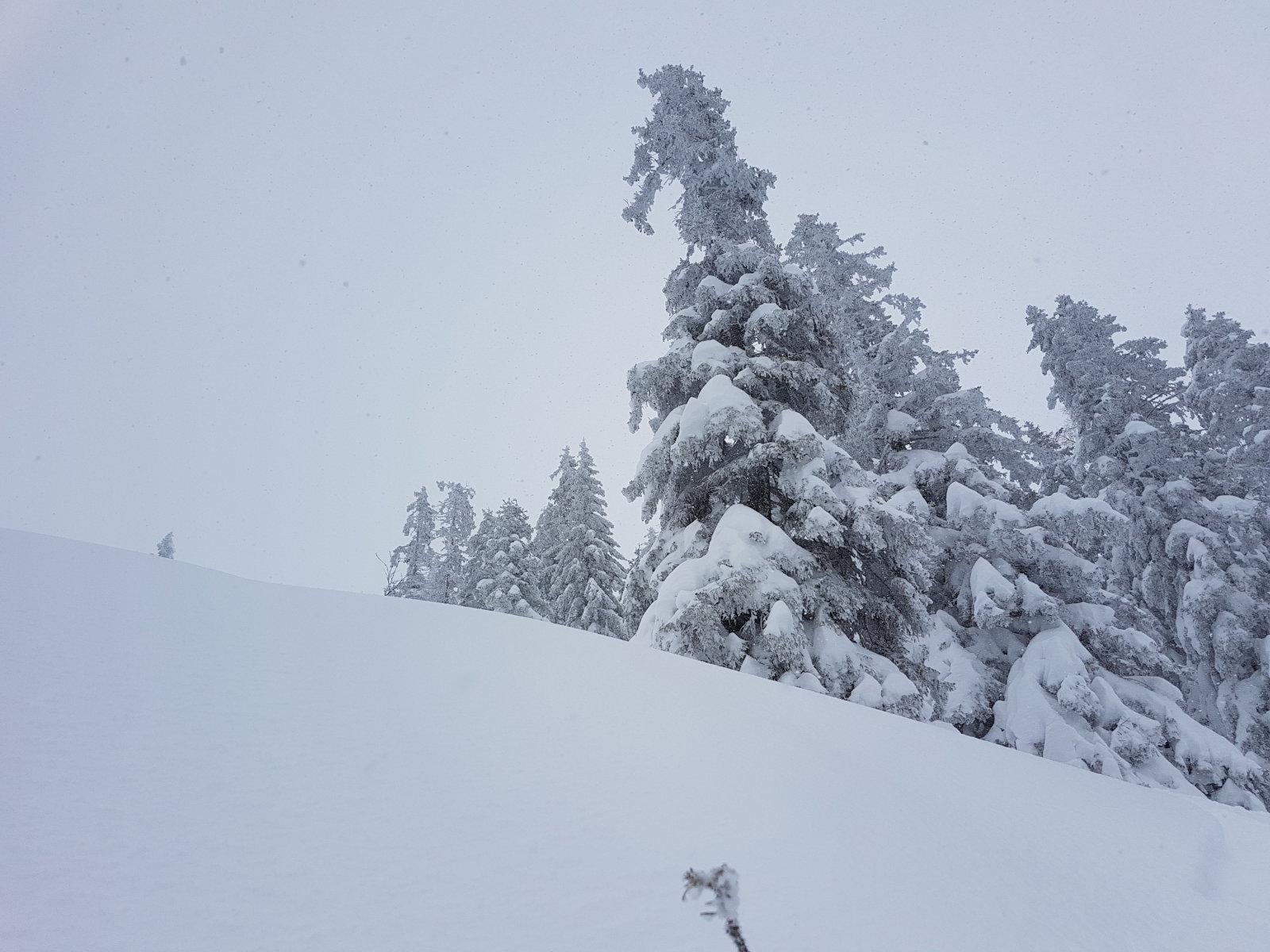 Werfenweng, a kabinos lift bal oldalán