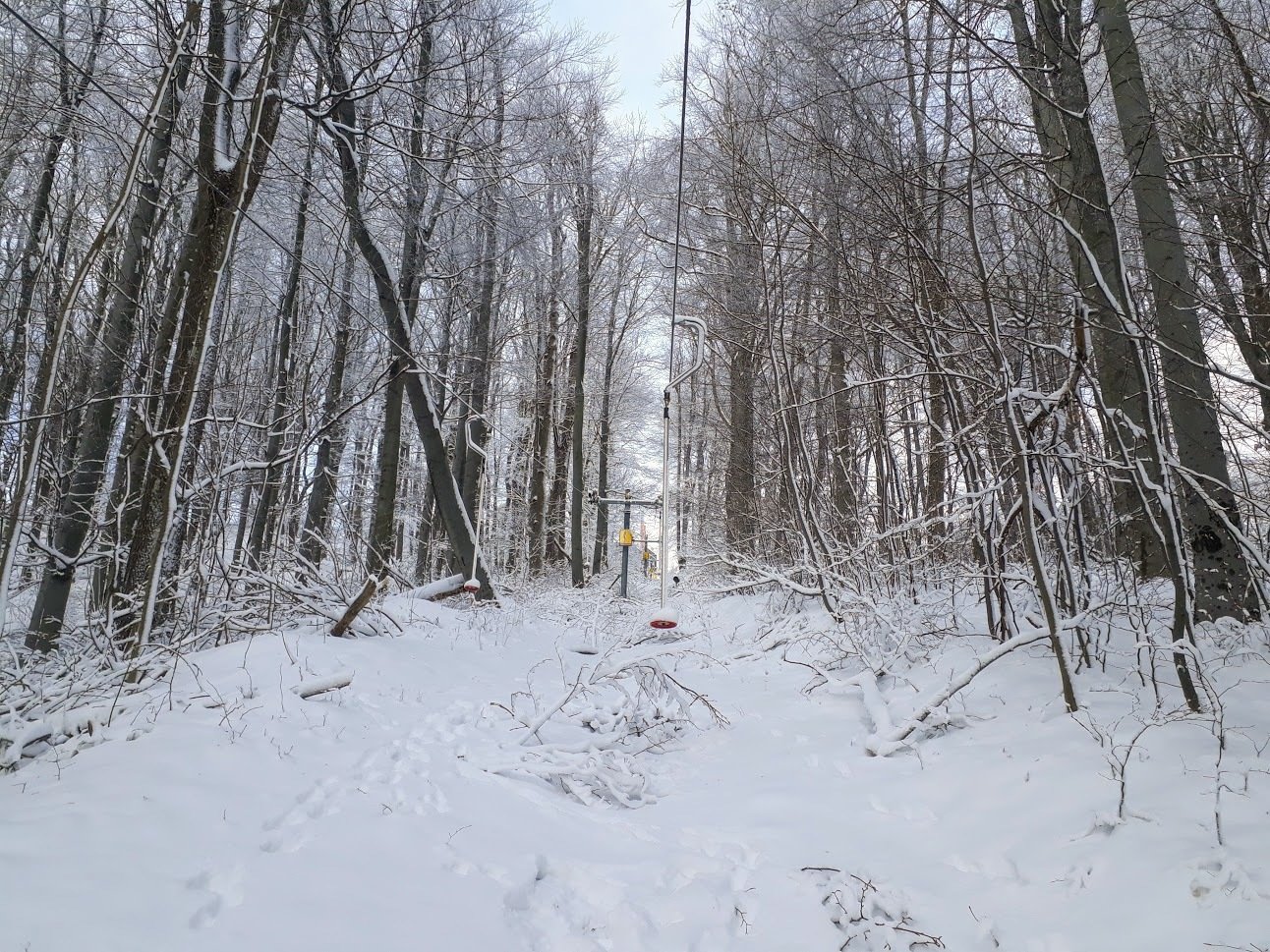 Vajon miről álmodik a felvonó?