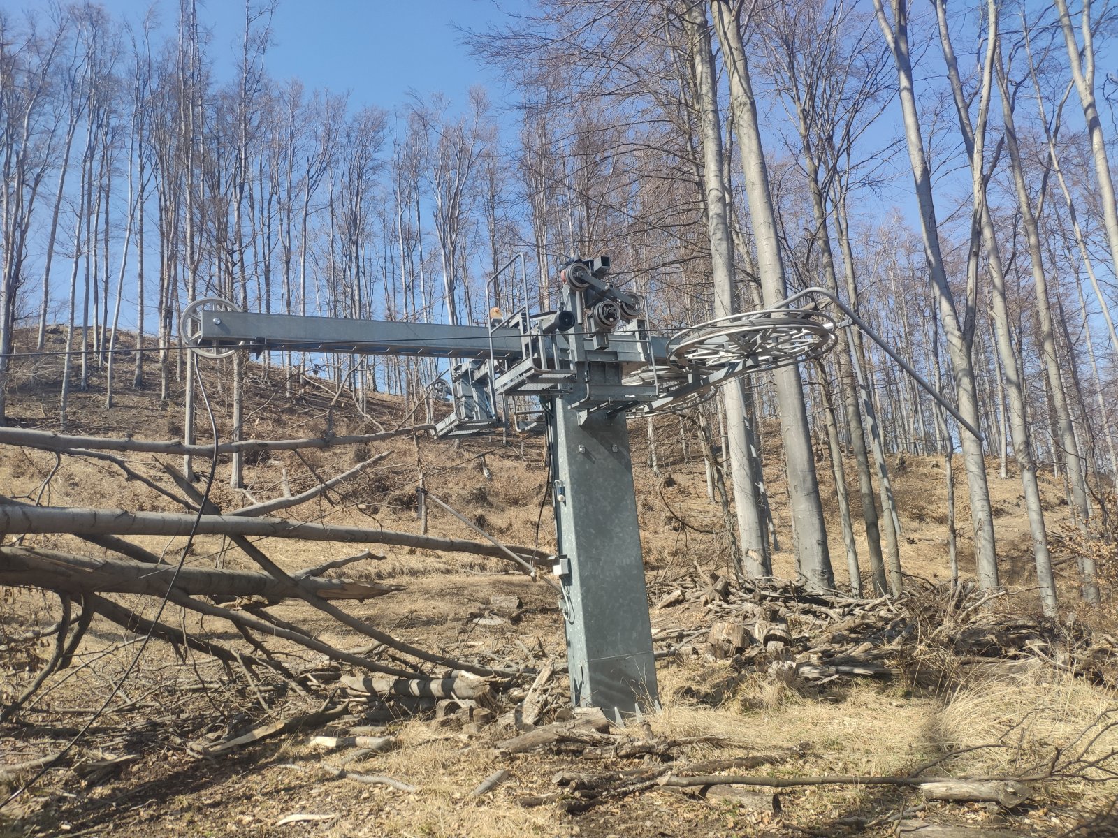 Nagyfelvonó alja. Számomra döbbenet, hogy ez a fa az állapotát tekintve nem az elmúlt 1-2 évben dőlt ki..és még nem sikerült eltakarítani.