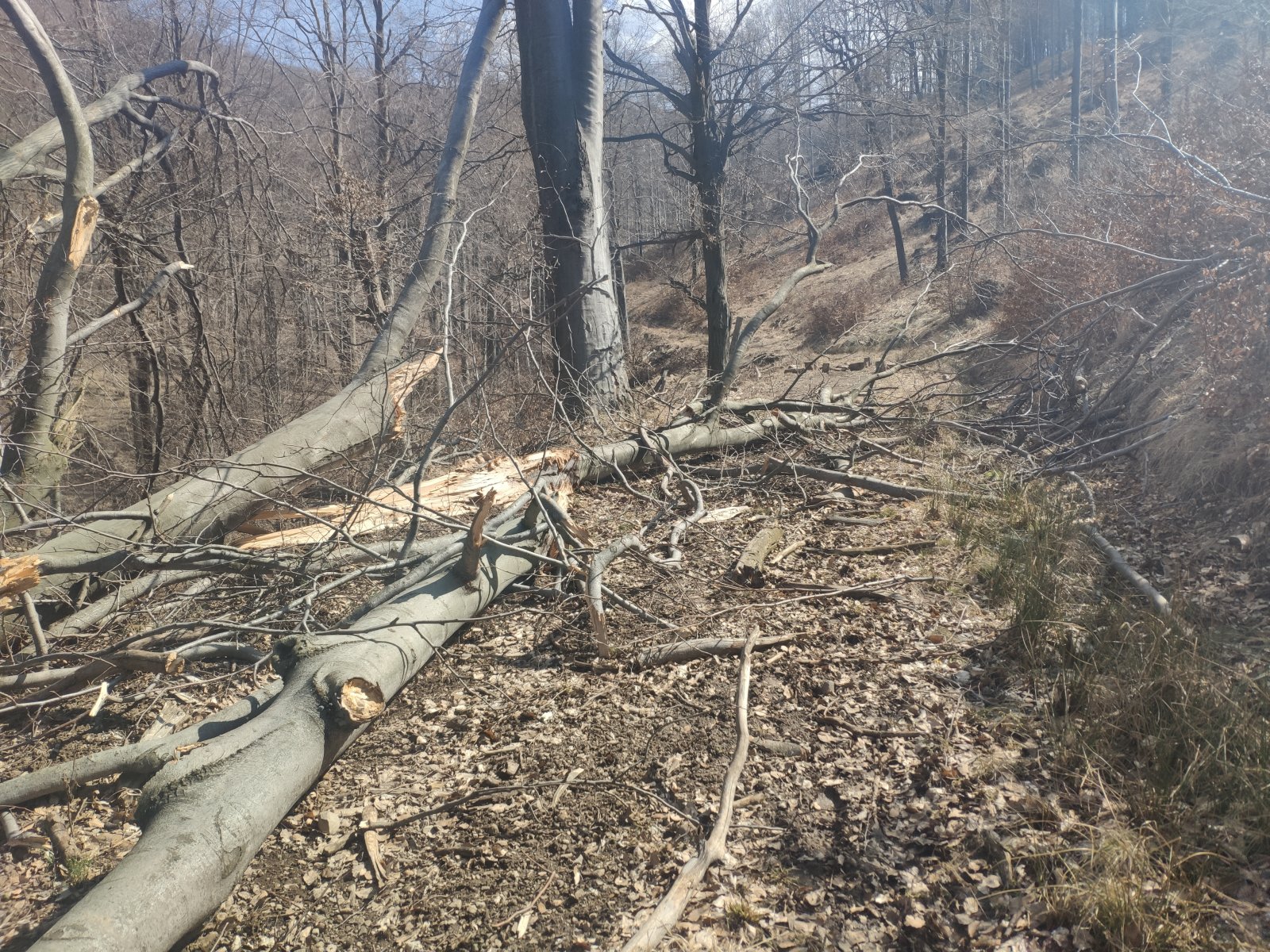 Nagyfelvonó előtti lassító akadály. Ez egy szűkebb rész, lejtése alig van, kis lendülettel is a felvonóhoz lehetne csúszni, ha menne... Na meg ha lenne hó.
