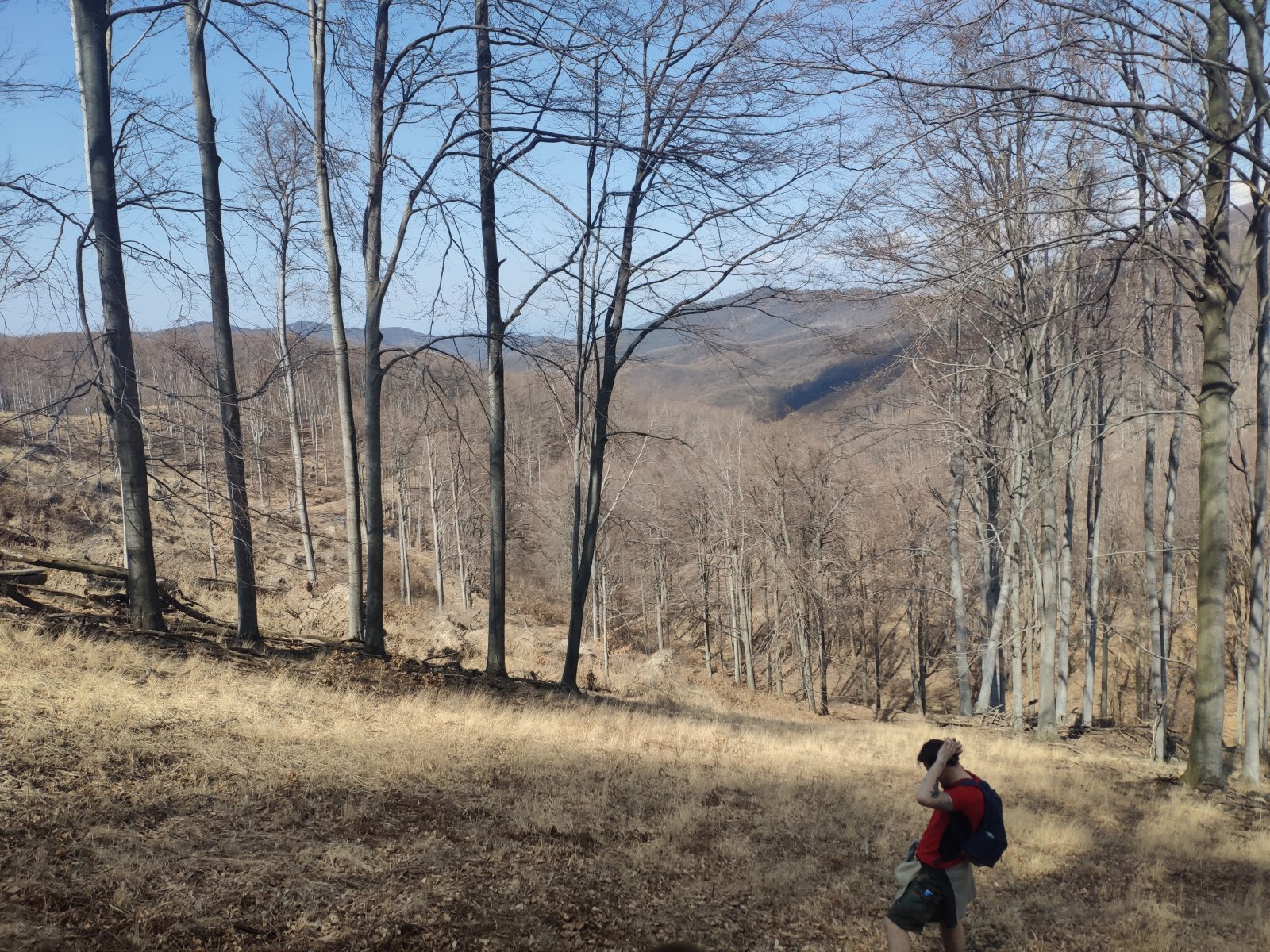 Nagyon jó vonalvezetés.