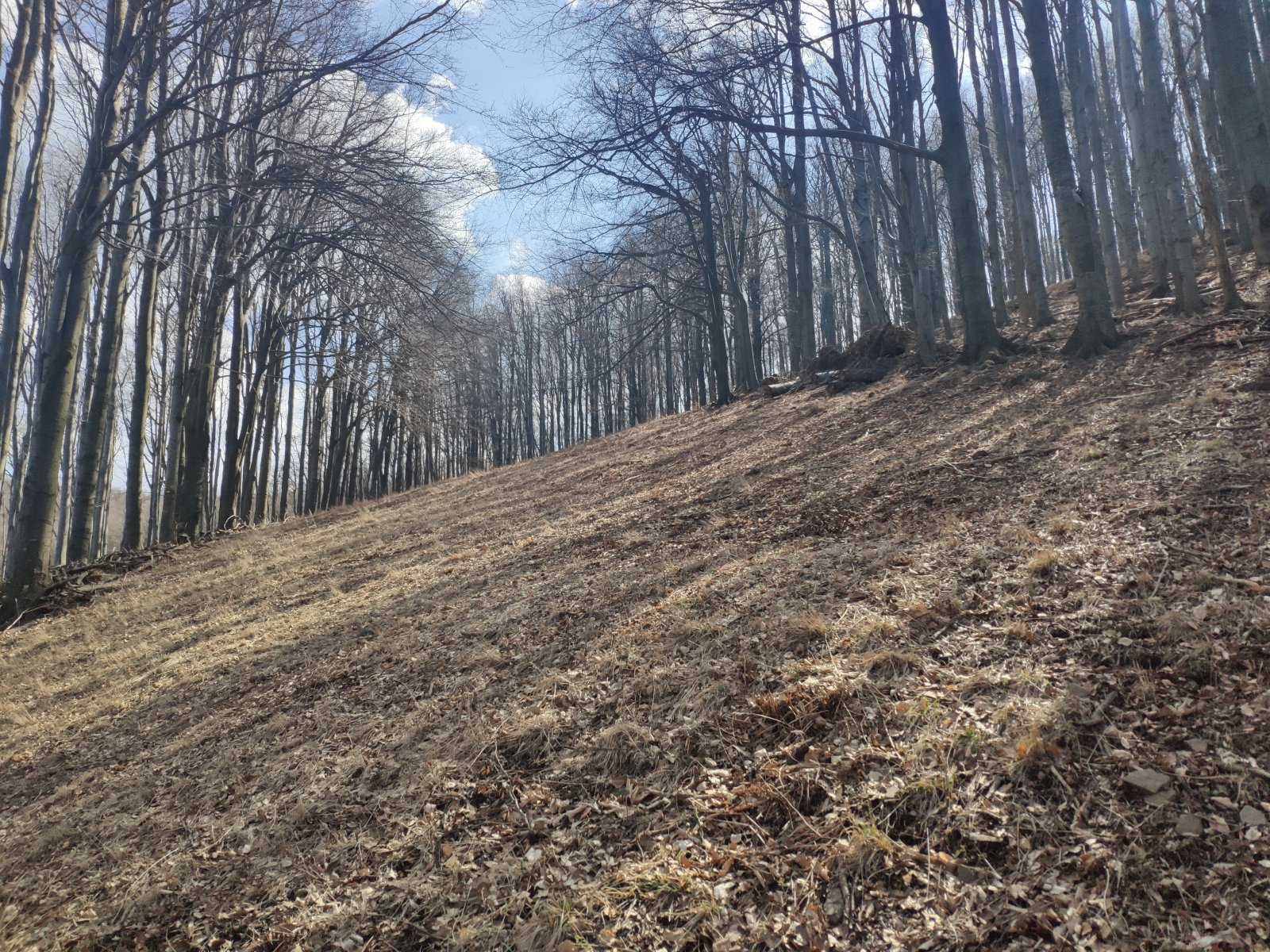 Nagyszerű állapotú pálya. Kővel nem találkoztam.