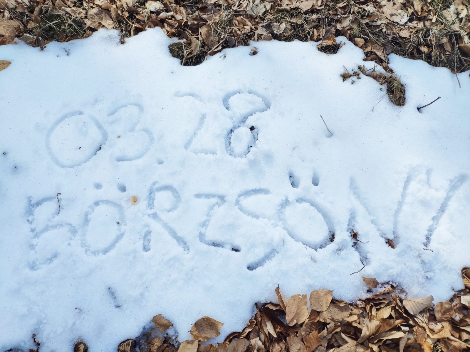 Maradék természetes hó. Az ország legjobb fekvésű terepén.