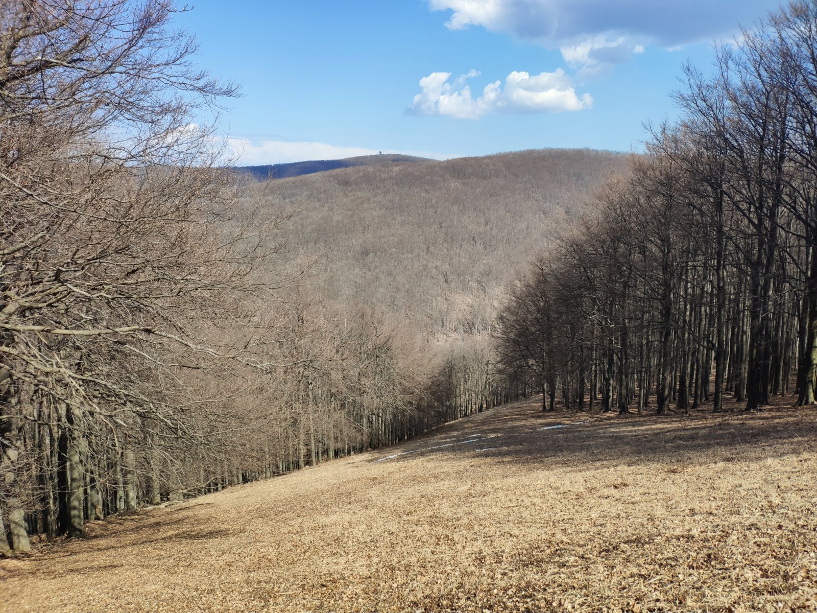 Az ország legjobb pályája.
