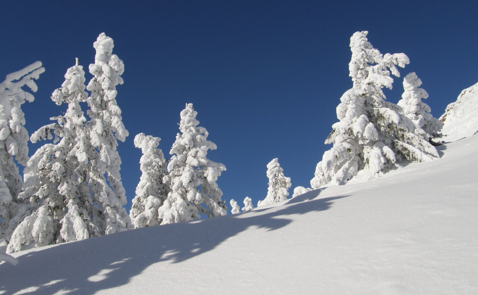 Ide nem jár felvonó!