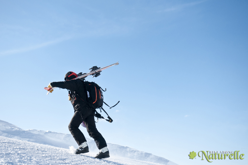 Fotó: Vaskó Gábor - Kattints a képre a nagyításhoz