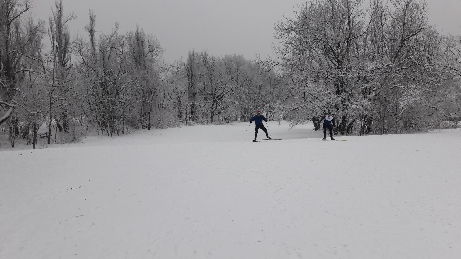 Sífutás a Normafán