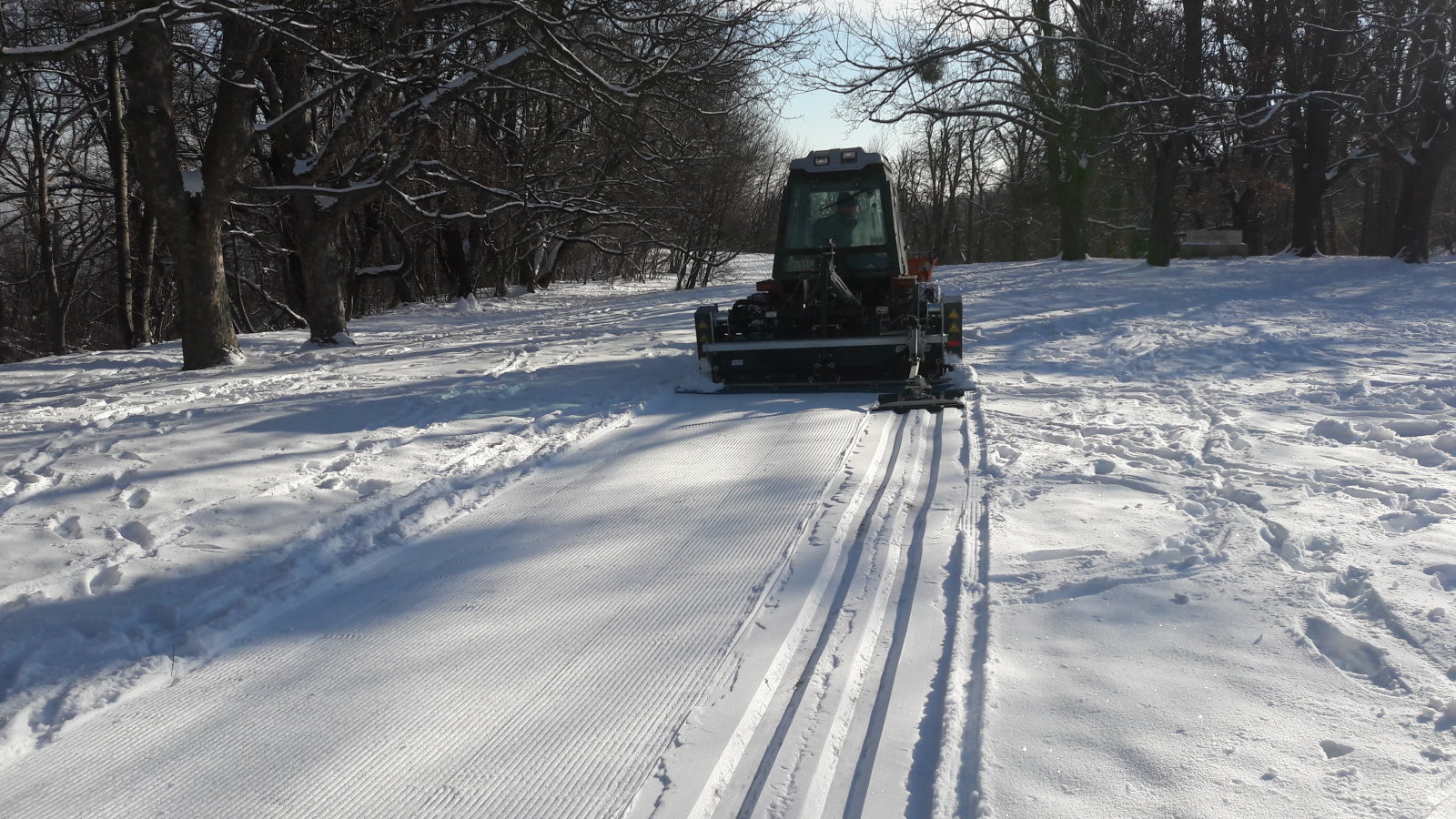 Sífutónyom készítése a Normafánál