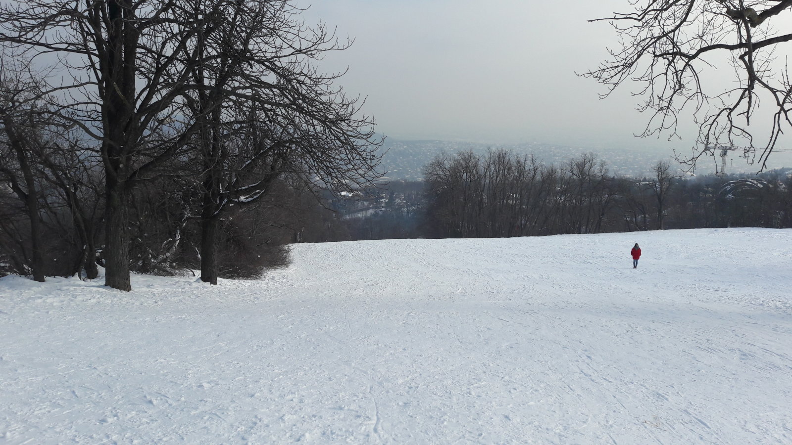 13. Kis-Norma pálya