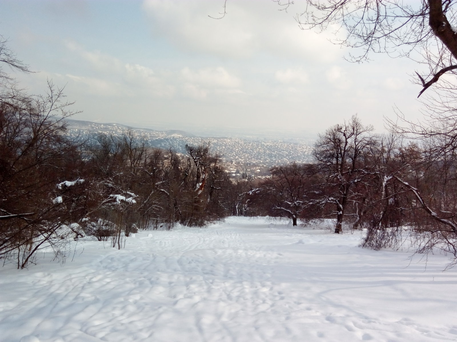 1. Kis-Egyetemi pálya