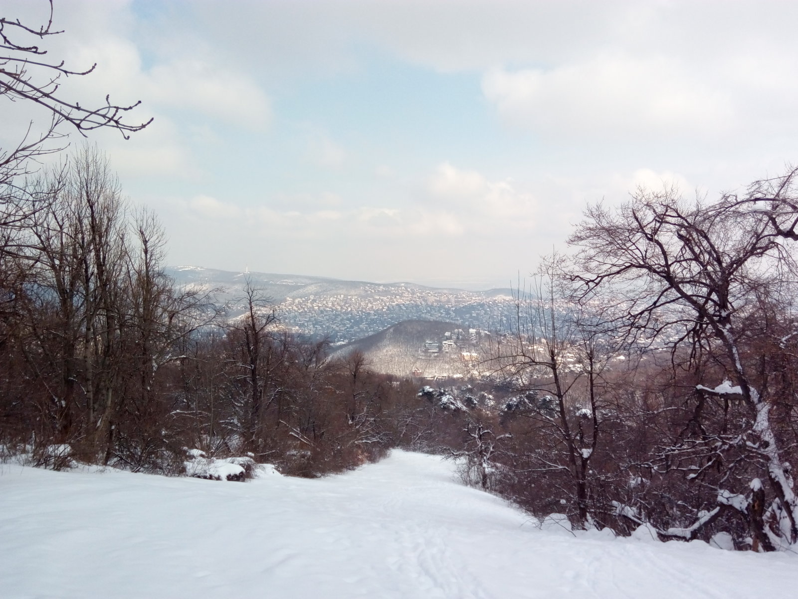 2. Nagy-Egyetemi pálya bal oldala