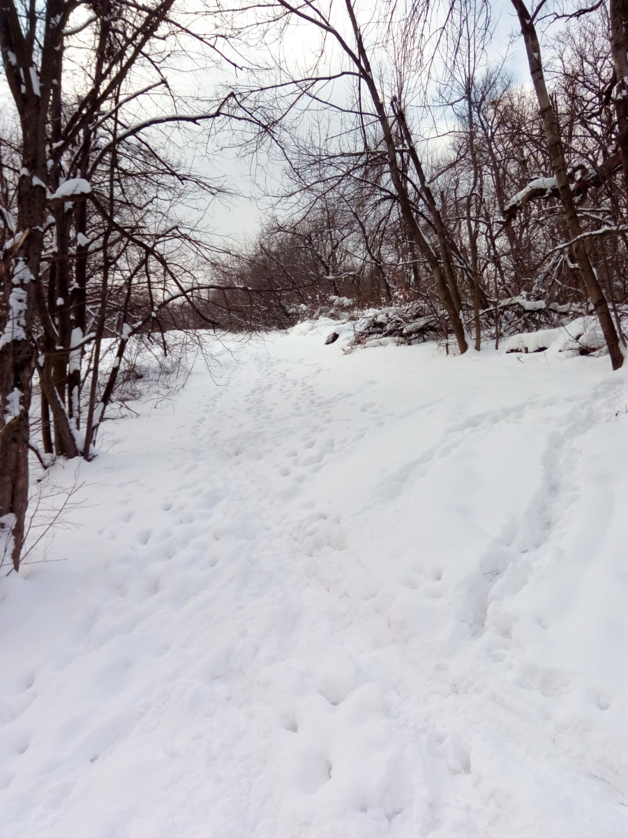 6. A Kis-Egyetemi és a Nagy-Egyetemi pálya bal oldalának alja, a Fenyves pálya felé átkötő rész a Mátyás király útról fotózva