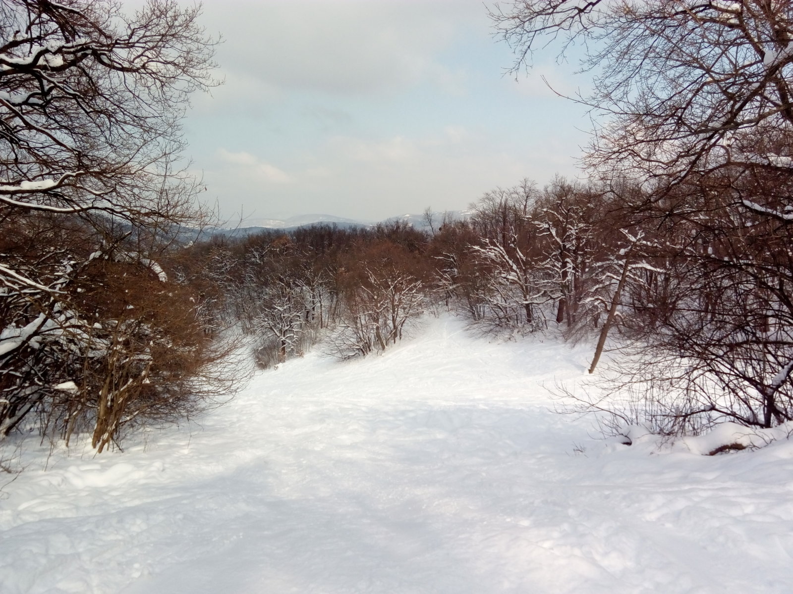 7. Harang-völgy a Mátyás király útról fotózva (Nagy-Norma pálya alsó átkötője felől)