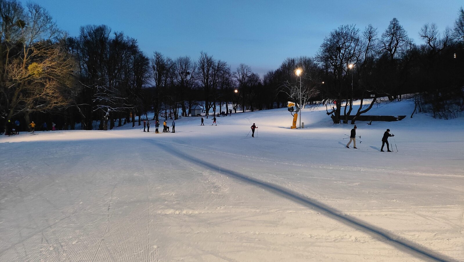 Cross country skiing in Normafa I Normafa: esti villanyfényes sífutás hóágyúzott pályán | Fotó: síelők.hu